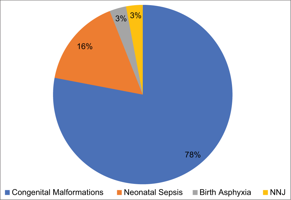 Distribution of referred cases by disease. NNJ: Neonatal Jaundice